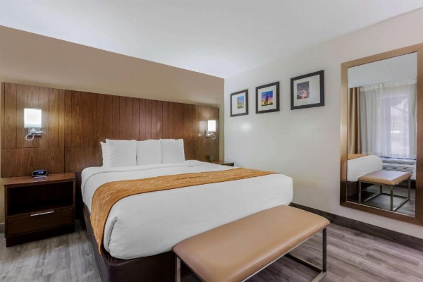 Comfort Suites At Sabino Canyon image 12