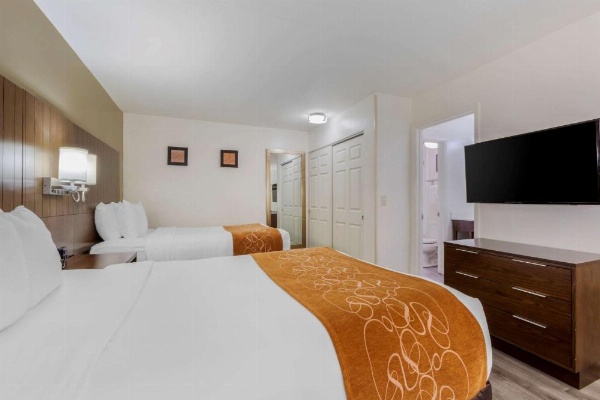 Comfort Suites At Sabino Canyon image 24